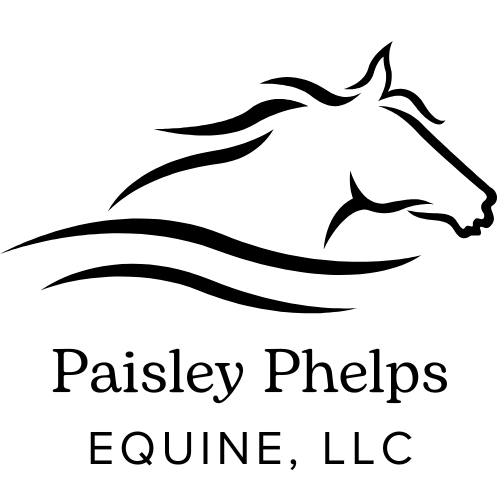 Paisley Phelps Equine, LLC